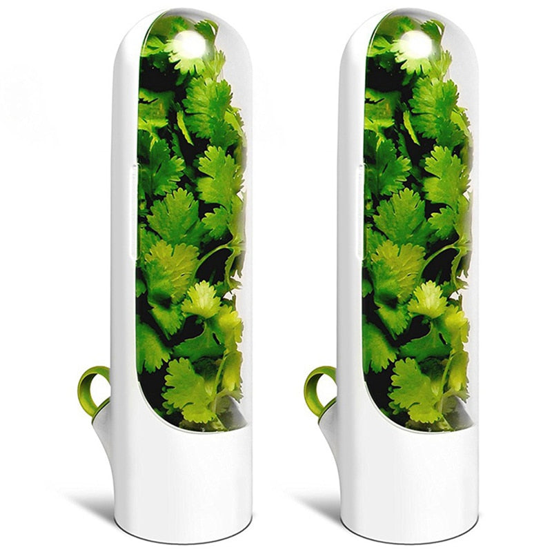 Vegetable Storage Box