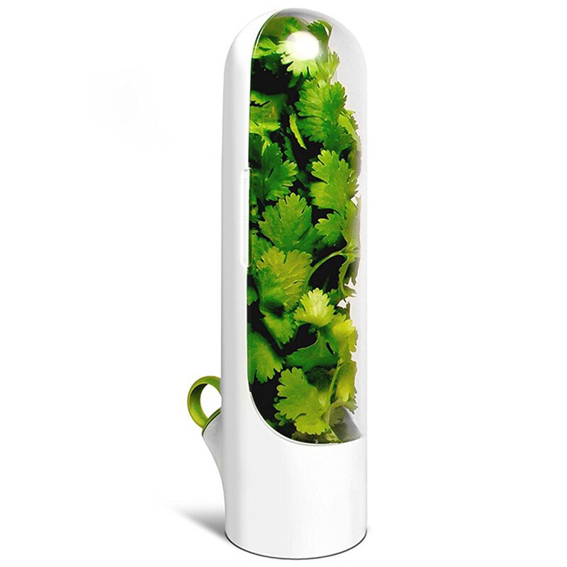 Vegetable Storage Box