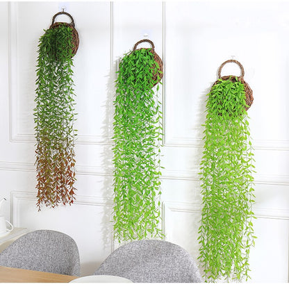 Plantas Decorativas Para El Hogar VAZU