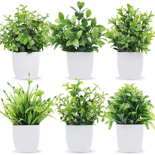 Planta Verde para Decorar interiores