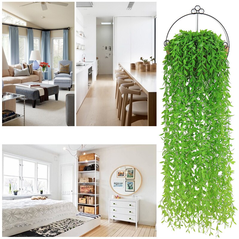 Plantas Decorativas Para El Hogar VAZU